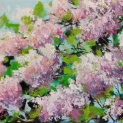Lilacs
