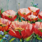 Poppy