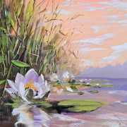 Water lilies