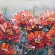 100x50cm