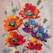 60x50cm