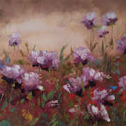 100x50cm