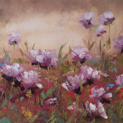 100x50cm