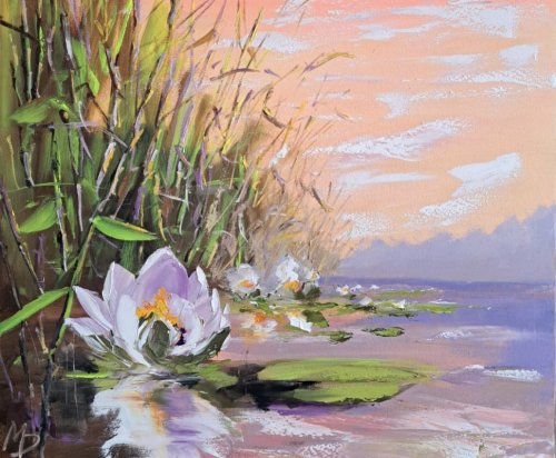 Water lilies
