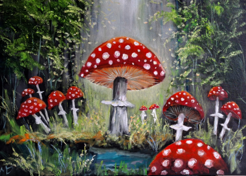 70x50cm