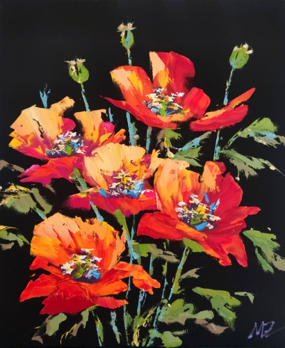 60x50cm