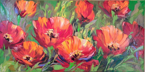 100x50cm