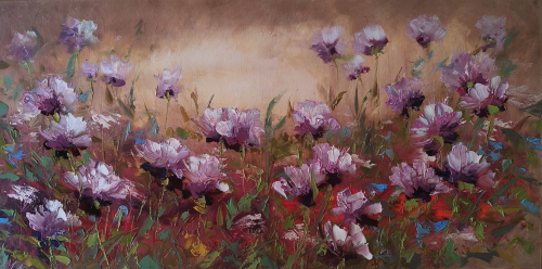 100x50cm